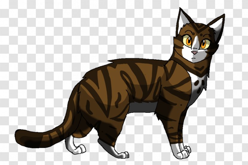 Cat Leafpool Warriors Jayfeather Squirrelflight - Paw Prints Transparent PNG