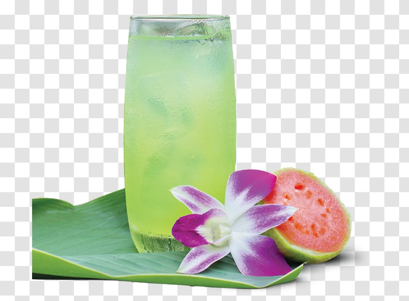 White Tea Non-alcoholic Drink Juice Oolong - Fruit - Guava Transparent PNG