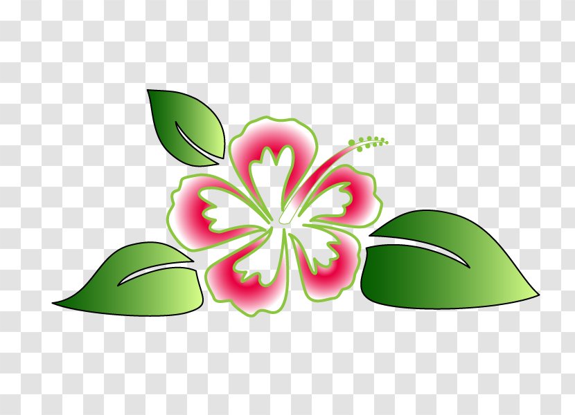 Hawaii Hou02bboponopono Luau Clip Art - Hawaiian Flower Vector Transparent PNG