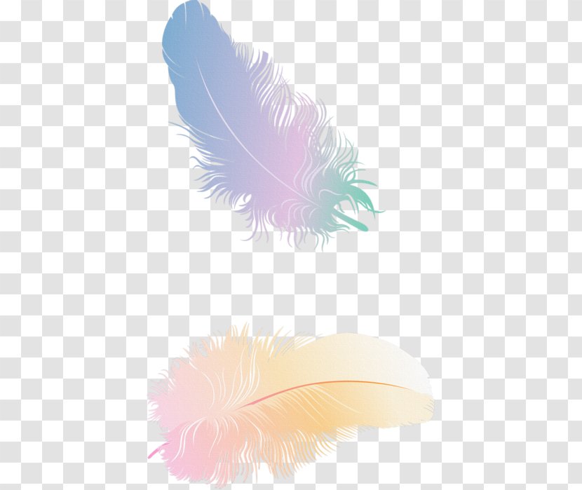 Feather - Wing Transparent PNG