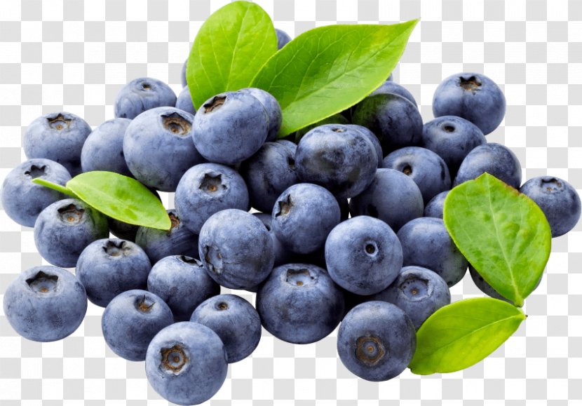 Blueberry Organic Food Bilberry - Aristotelia Chilensis Transparent PNG