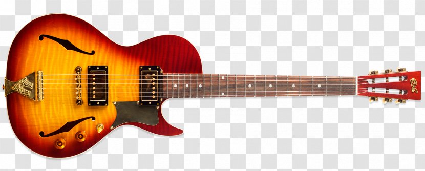 B&G Guitars Gibson Les Paul Studio Musical Instruments Fender Stratocaster - Watercolor - Acoustic Guitar Transparent PNG
