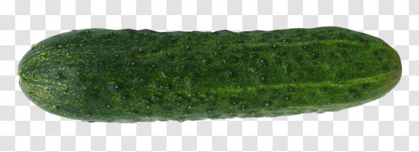 Pickled Cucumber Green Transparent PNG