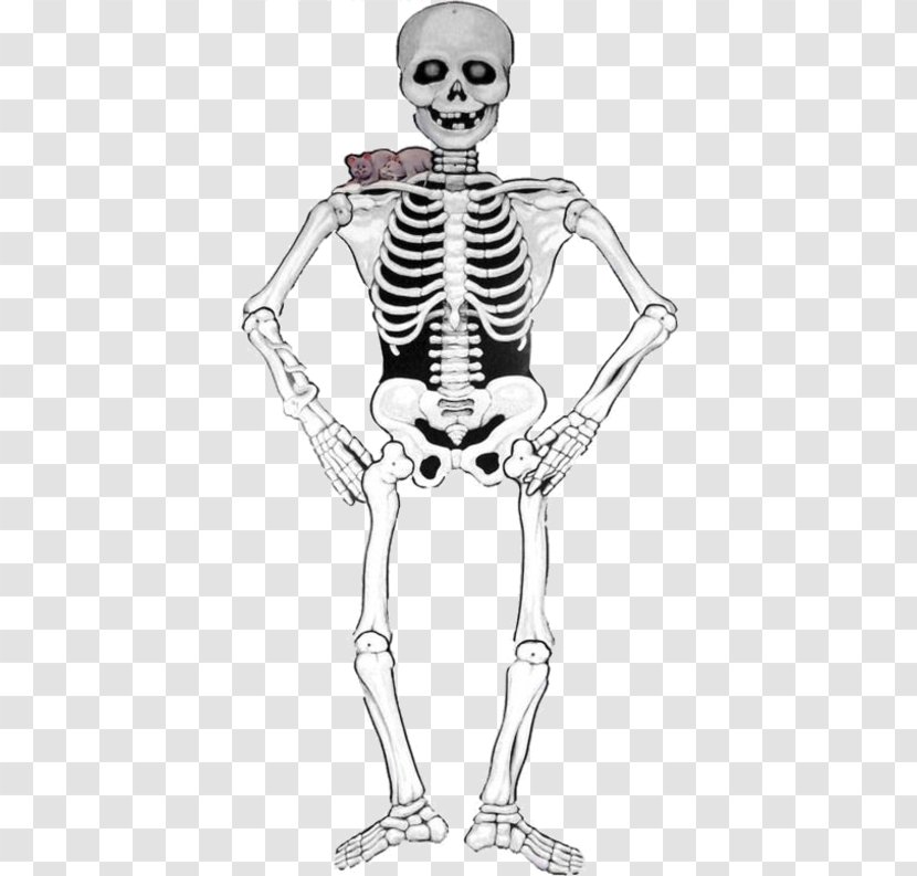 Skeleton Halloween Smiffys Carnival Paper - Flower - Identity Cards Can Not Open Jokes Transparent PNG