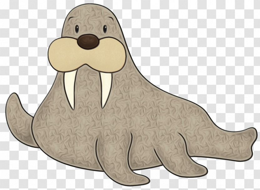 Seal Walrus Cartoon Earless Seal California Sea Lion Transparent PNG
