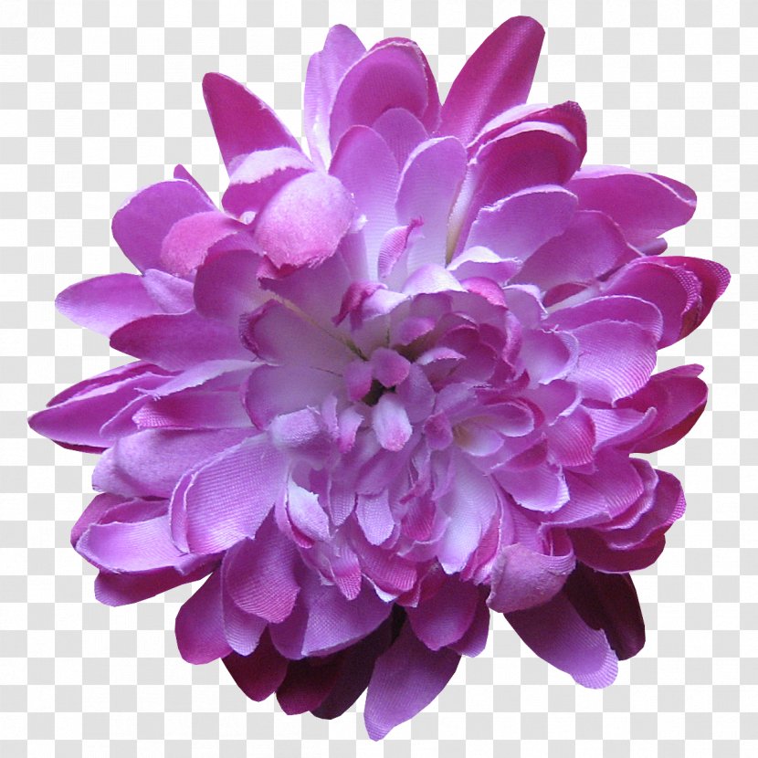 Lavender Flower Lilac Violet Purple - Chrysanths - Rose Petals Transparent PNG