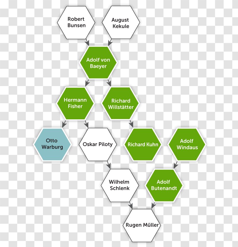 Diagram Brand Product Design Organization - Area - Carrying Weapons Transparent PNG