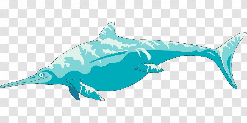 Rough-toothed Dolphin Clip Art Vector Graphics Ichthyosaur Image - Ichthyosaurus - Shark Transparent PNG