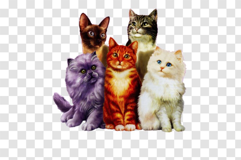 World Cat Day Kitten Animaatio - Tree Transparent PNG