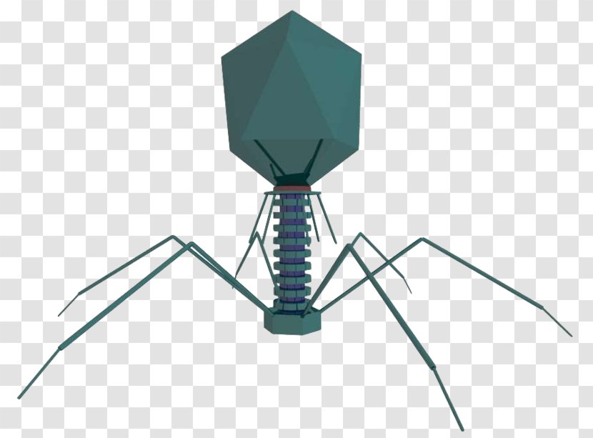 Tobacco Mosaic Virus Bacteriophage Computer Cell - Insect - Cartoon Of Ferocious Cells Transparent PNG