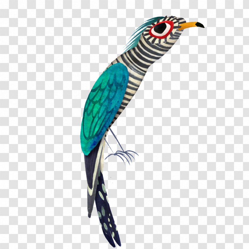 Bird Parrot Illustrator Art Illustration - Fauna - Creative Color Transparent PNG