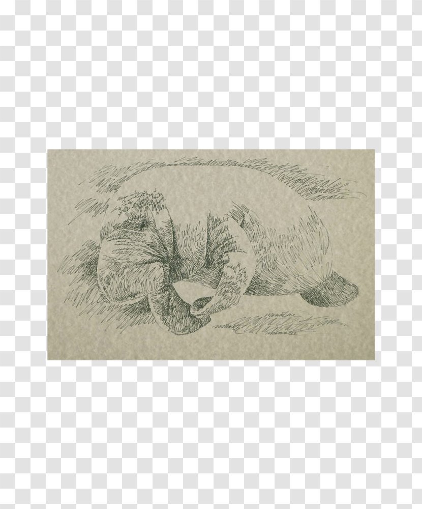 Reptile Florida West Indian Manatee Mug Sea Cows - Drawing - Surrealism Painting Transparent PNG