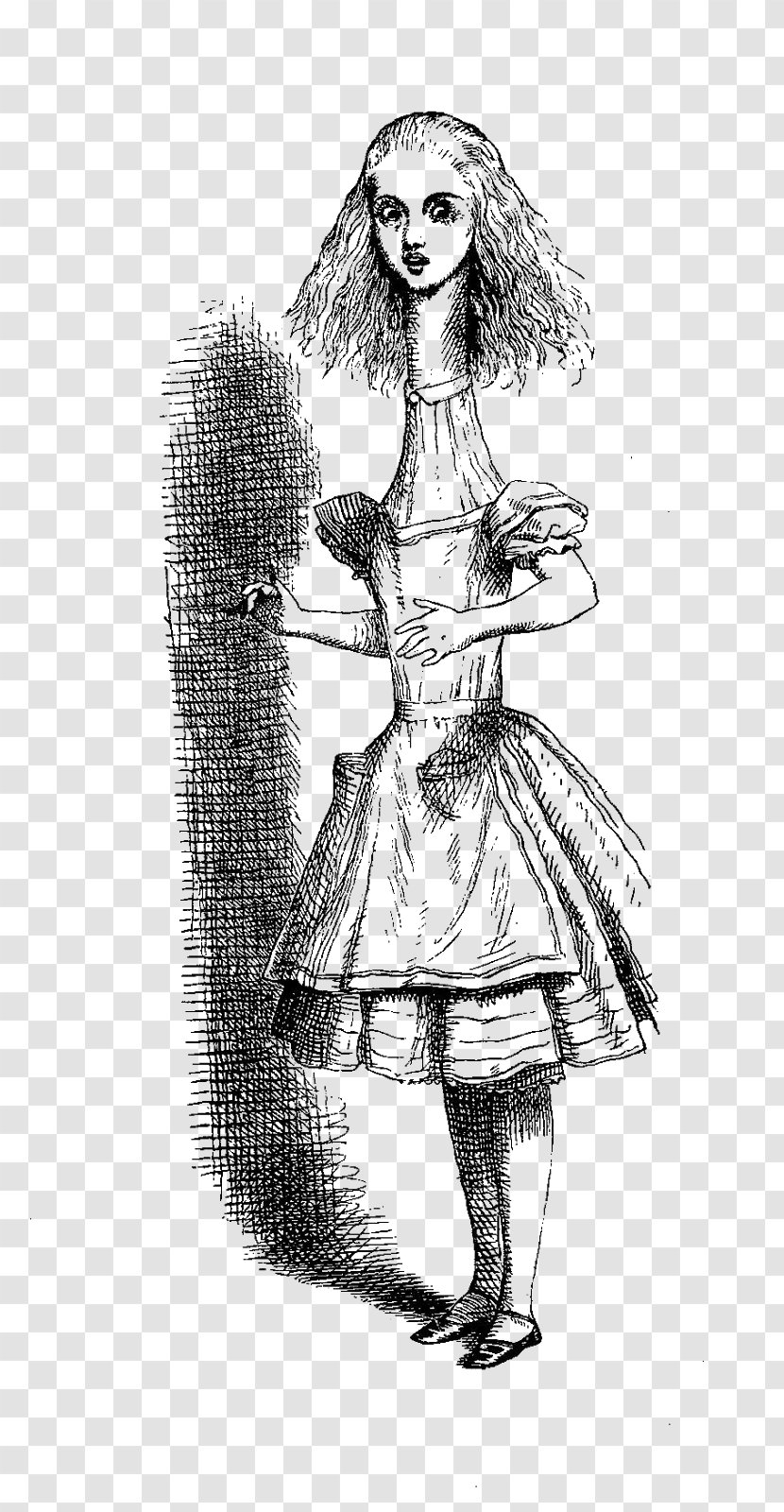 Alice's Adventures In Wonderland John Tenniel Aliciae Per Speculum Transitus Cheshire Cat - Flower - Alice Transparent PNG