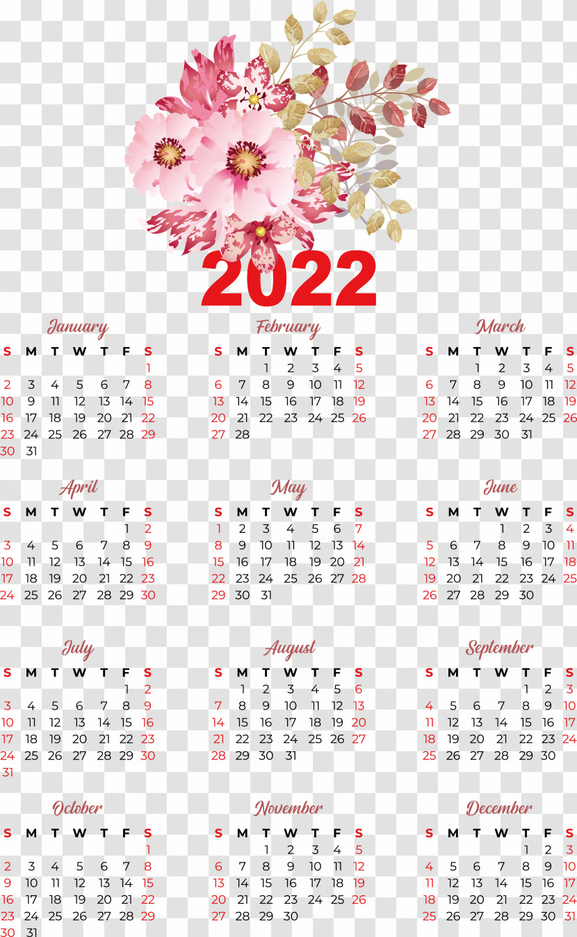 Flower Calendar Font Petal Meter Transparent PNG