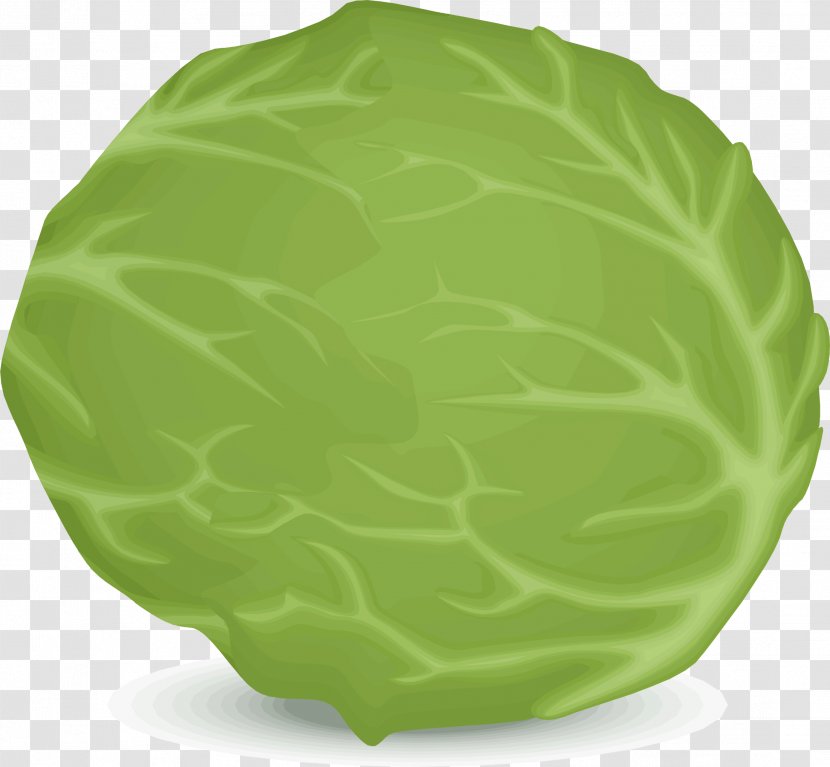 Leaf Vegetable Iceberg Lettuce Food - Cabbage Transparent PNG