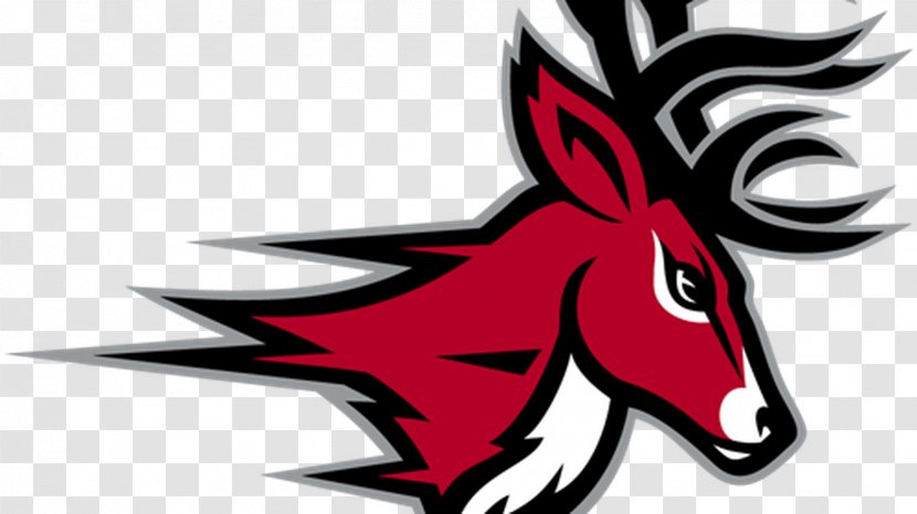 Fairfield University Stags Men's Basketball Webster Bank Arena Lacrosse Sacred Heart - Sport Transparent PNG