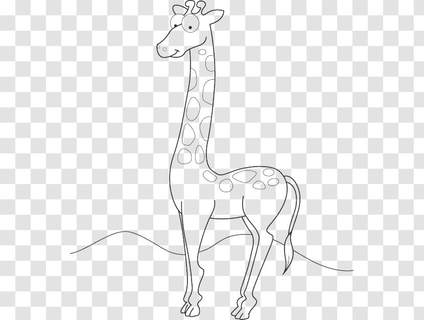 Drawing Line Art Northern Giraffe Animal - Terrestrial Transparent PNG