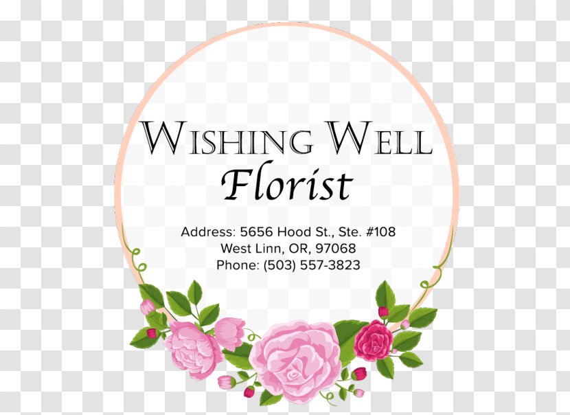 Rose Family Floral Design Cut Flowers Petal - Flowering Plant - Flower Transparent PNG
