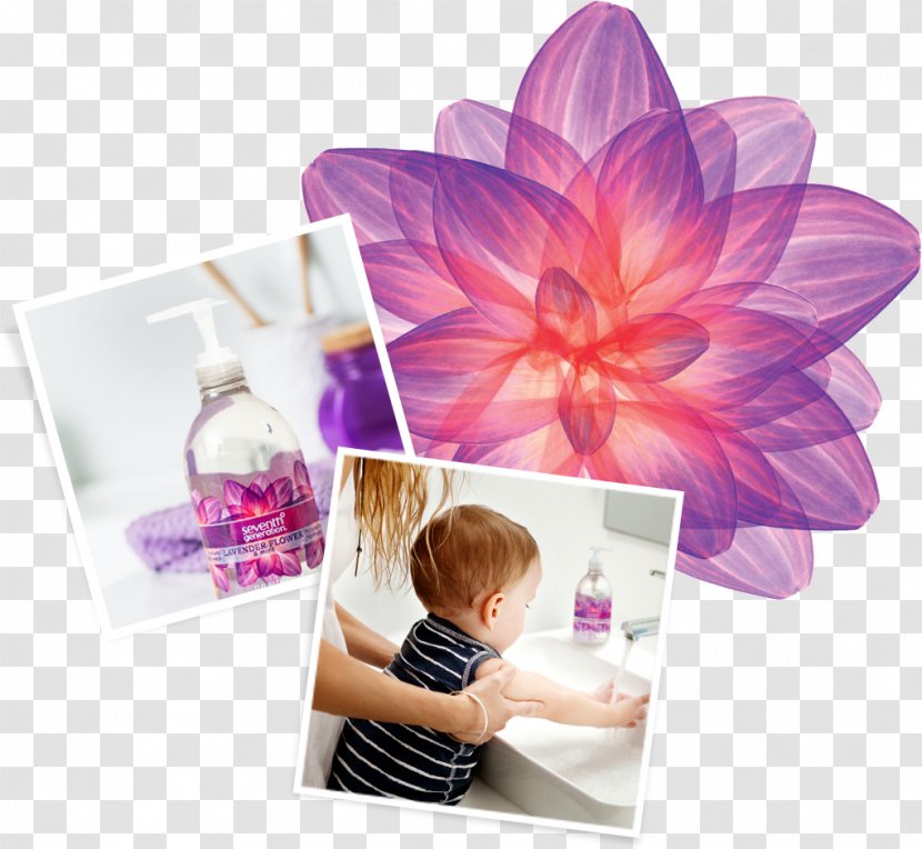 Marseille Soap Perfume Hand Washing - Flower Transparent PNG