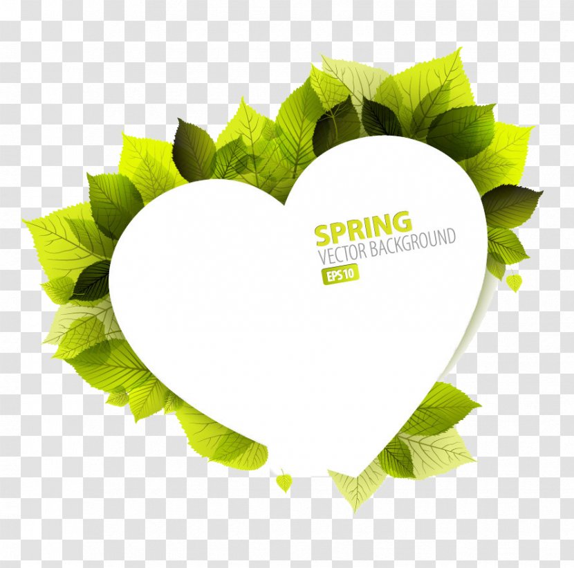 Heart Photography Illustration - Logo - Leaf Transparent PNG