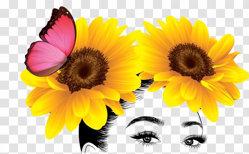 Flowers Background - Smile - Pollen Gerbera Transparent PNG