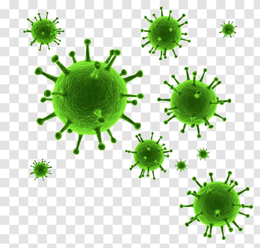 Can Stock Photo Green - Organism Transparent PNG