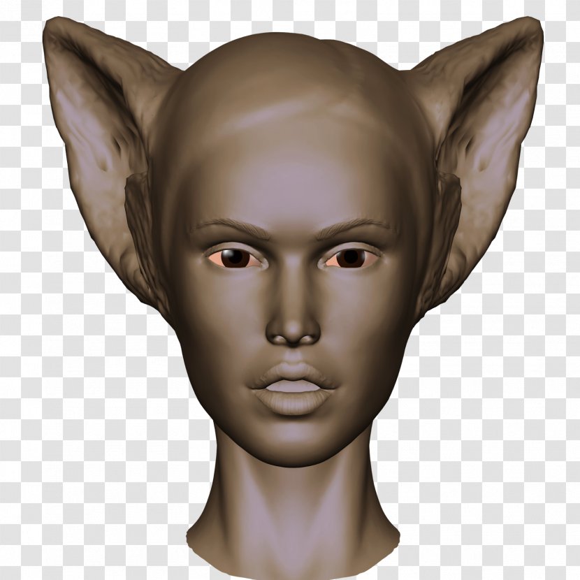 Forehead Sculpture Ear Jaw Snout - Face Transparent PNG