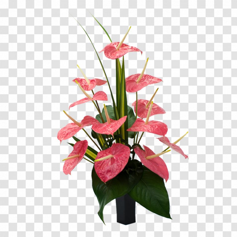Laceleaf Cut Flowers Carnation Bird Of Paradise Flower - Tropical Transparent PNG