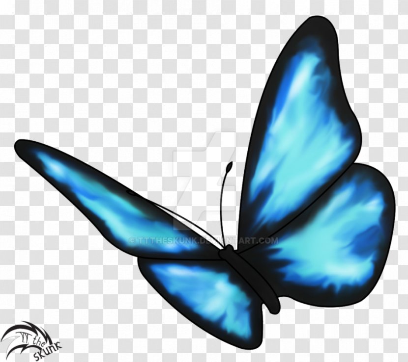 Life Is Strange Butterfly Effect Drawing Insect - Wing - Blue Transparent PNG