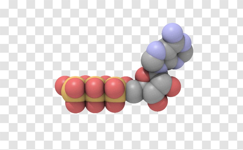 Adenosine Triphosphate Energy Muscle Molecule Transparent PNG