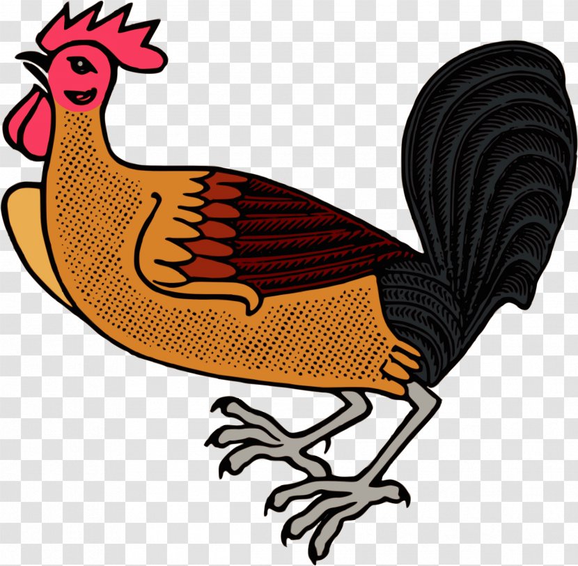 Chicken Rooster Clip Art - Drawing - Big Cock Transparent PNG
