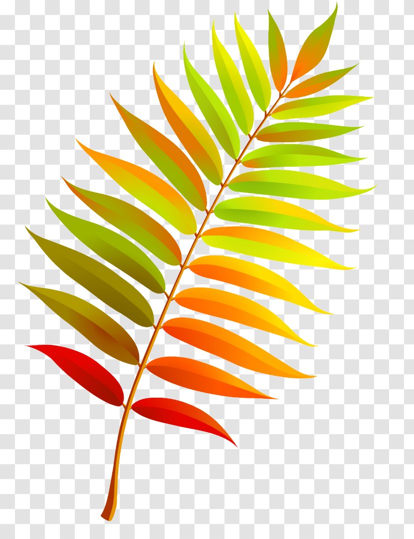 Autumn Leaves Clip Art Leaf - Plant Transparent PNG