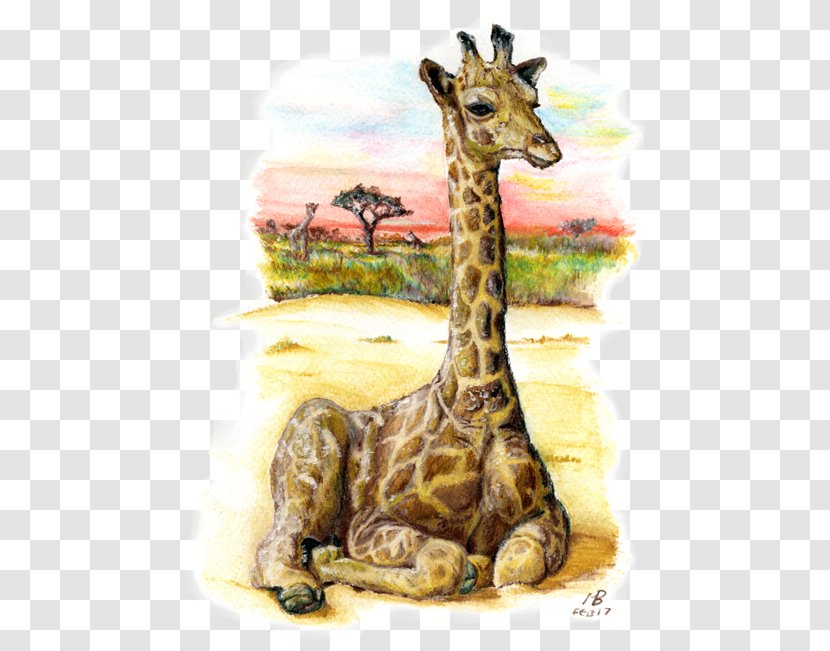 Giraffe Terrestrial Animal Wildlife Fauna - Watercolour Animals Transparent PNG
