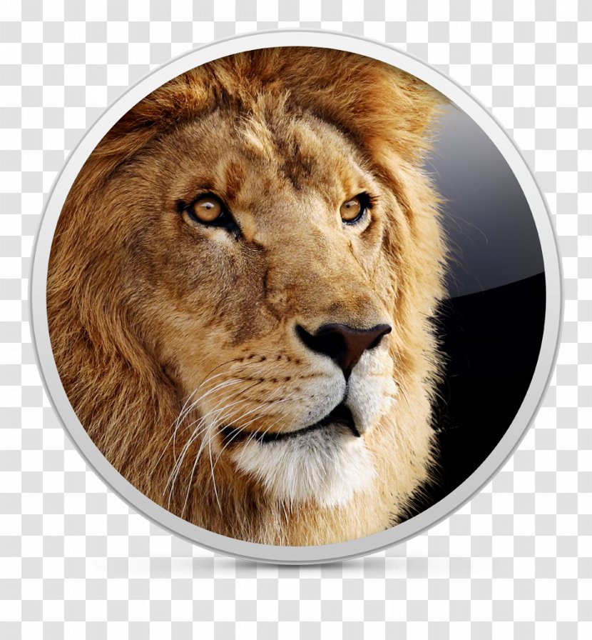 Mac OS X Lion MacOS Apple - Big Cats Transparent PNG