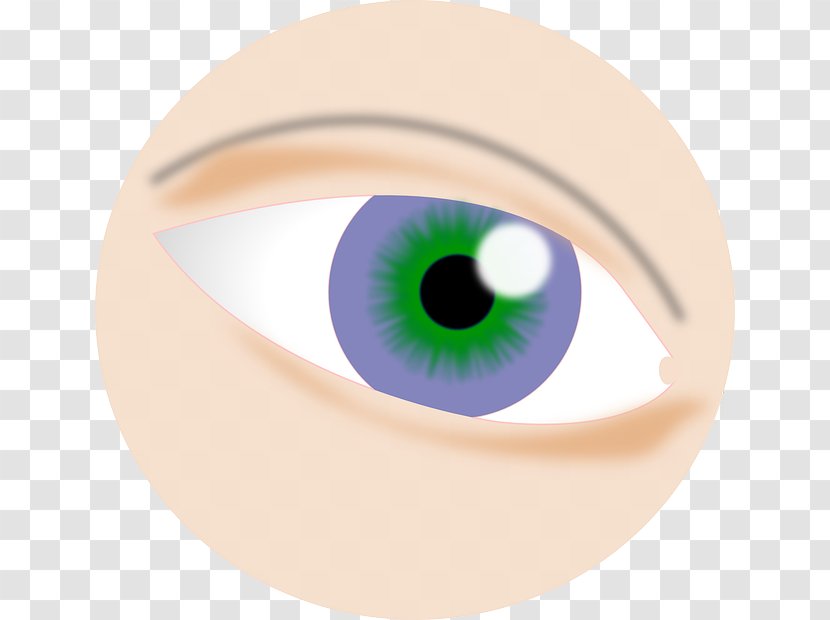 Iris Eye Photography Light Visual Acuity - Watercolor Transparent PNG