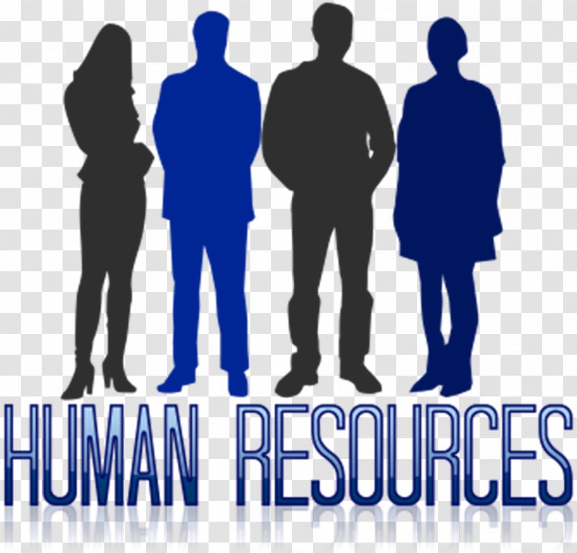 Human Resource Management Resources Business Performance - Communication Transparent PNG