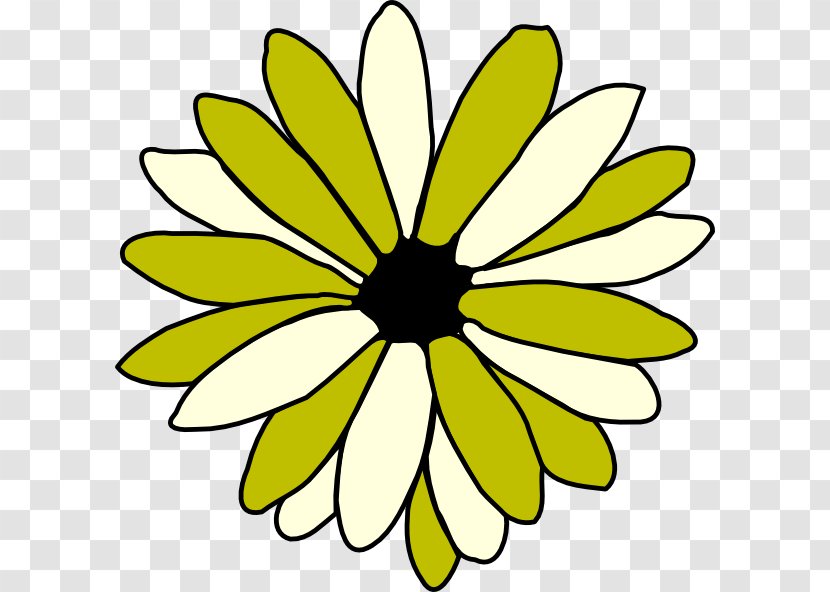 Line Art Drawing Flower Common Daisy Clip Transparent PNG