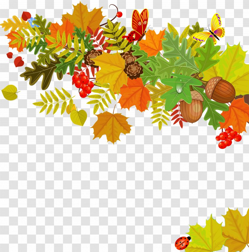 Drawing Royalty-free - Food - Autumn Leaves Transparent PNG