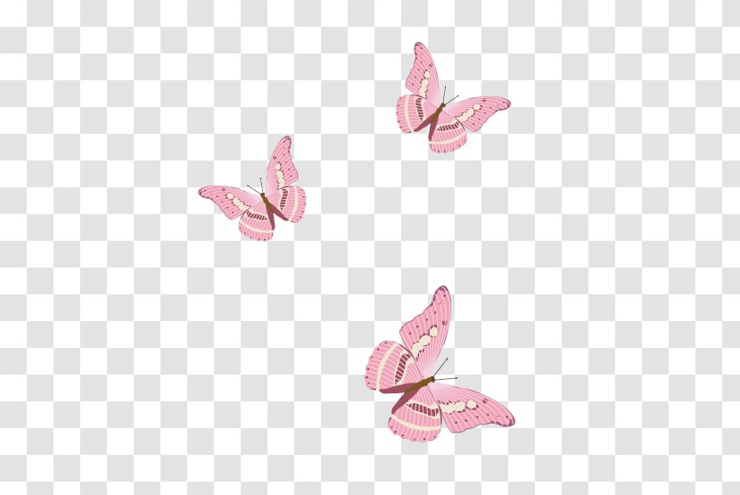 Elements, Hong Kong Pink - Butterfly Transparent PNG
