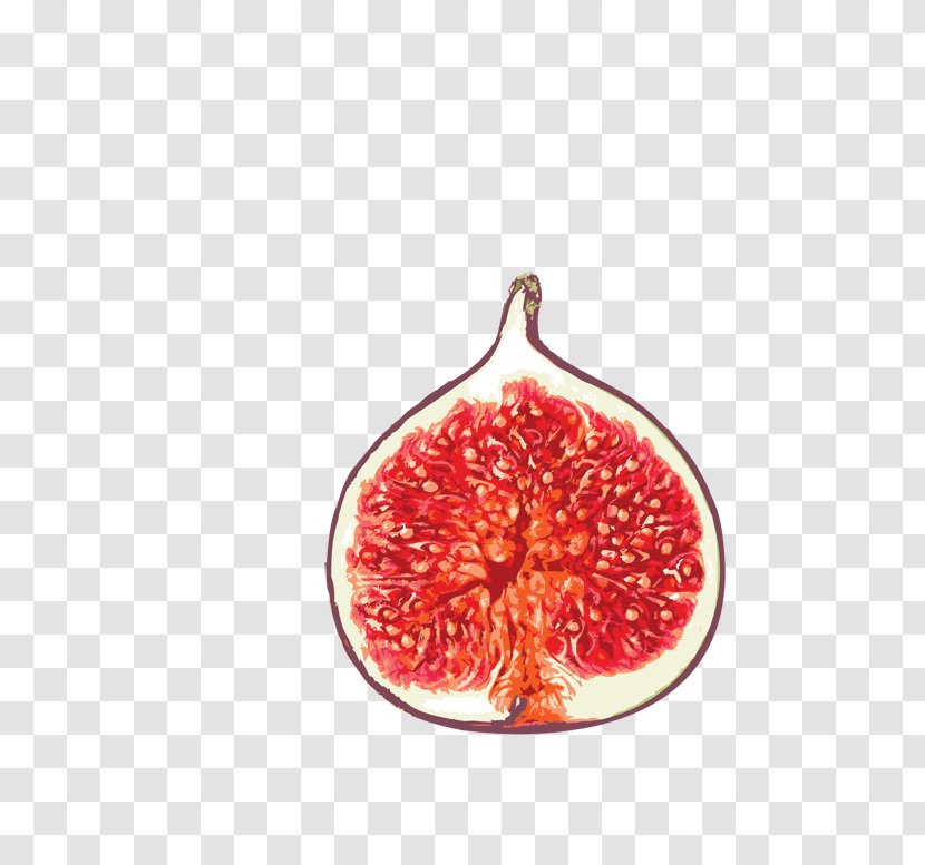 Common Fig Food Auglis Eating - Fruit - Venilla-musk Transparent PNG