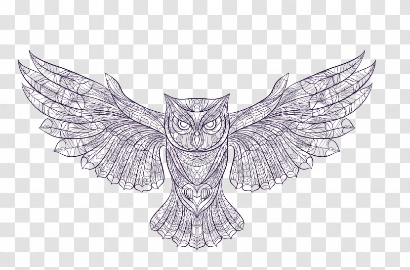 Owl Vector Graphics Euclidean Image - Coloring Book Transparent PNG