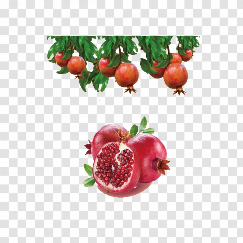 Juice Pomegranate Gelatin Dessert Fruit Extract - Flavor - Break Apart Transparent PNG