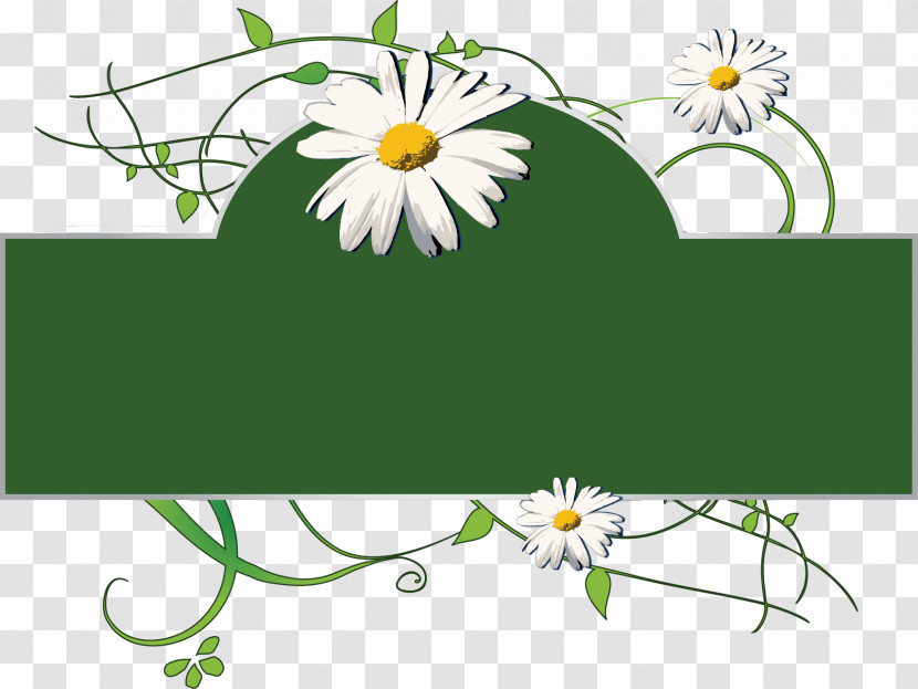 Daisies Frame Flower Frame Floral Frame Transparent PNG