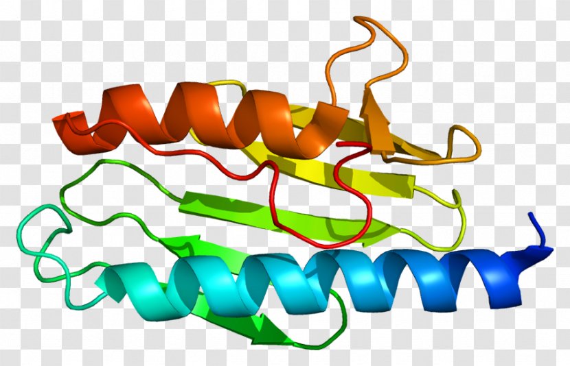 Friedreich's Ataxia Frataxin Genetic Disorder - Rare Disease - National Institute Of Neurological Disorders And S Transparent PNG