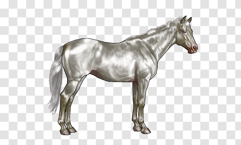 American Paint Horse Clydesdale Roan Black Bay - Buckskin - Yellowish Gray Transparent PNG