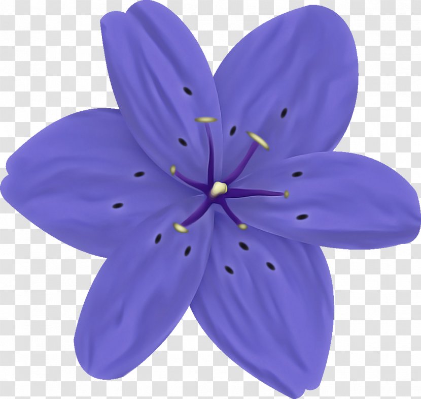 Petal Violet Purple Flower Plant - Wildflower Transparent PNG