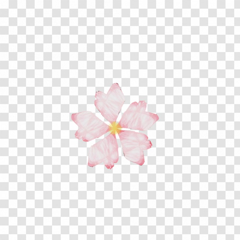 Cherry Blossom - Hibiscus Transparent PNG