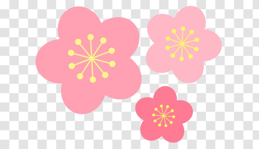Stock Illustration Peach Image Flower - Mallow Family Transparent PNG