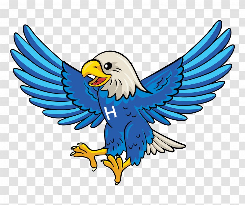 Bald Eagle Royalty-free Vector Graphics Image - Wing Transparent PNG