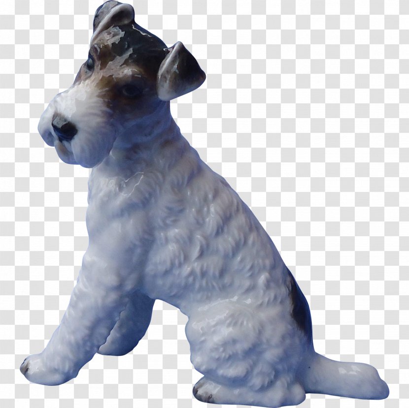 Miniature Schnauzer Wire Hair Fox Terrier Lakeland Dog Breed - Jack Russell Transparent PNG